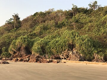 IMG_0319