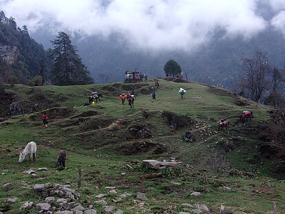 image-678